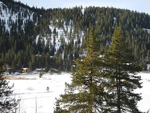 IMG_0484.JPG