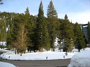 IMG_0487.JPG
