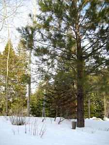 IMG_0489.JPG