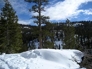 IMG_0525.JPG