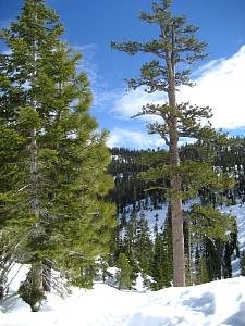 IMG_0528.JPG