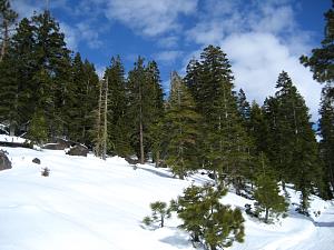 IMG_0531.JPG