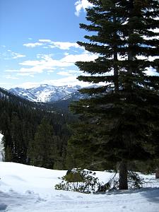 IMG_0536.JPG