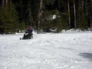 IMG_0545.JPG