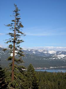 IMG_0553.JPG