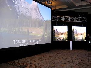 IMG_0561.JPG