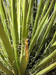 IMG_0261.JPG