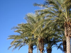 IMG_0284.JPG