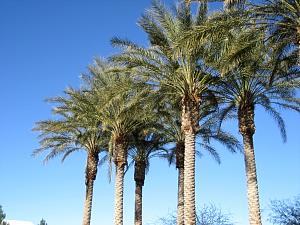 IMG_0286.JPG