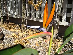 IMG_0345.JPG