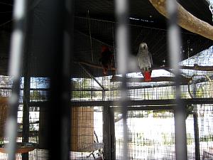 IMG_0448.JPG
