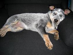 IMG_0166.JPG